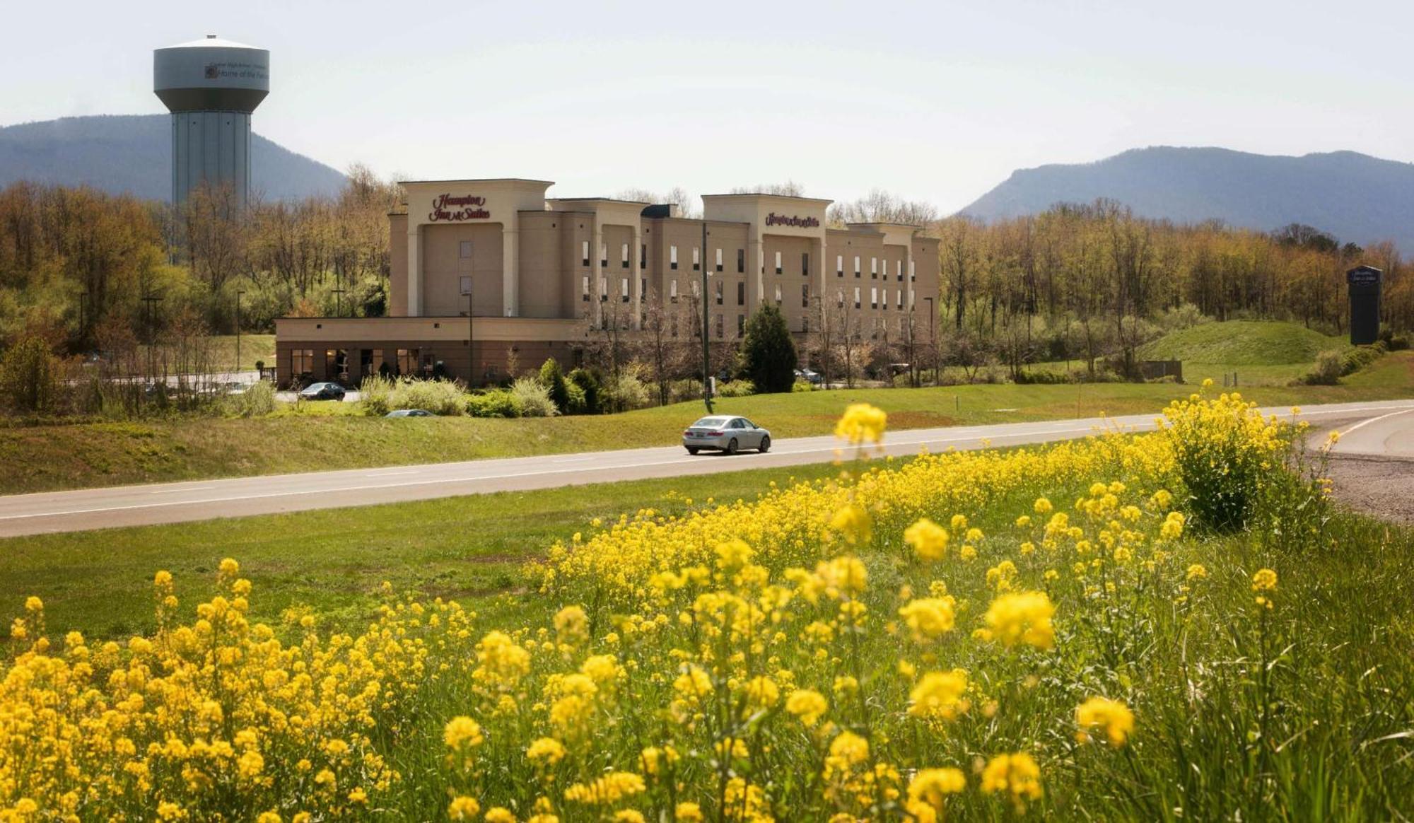 Hampton Inn And Suites Woodstock, Virginia Esterno foto